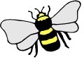 bee