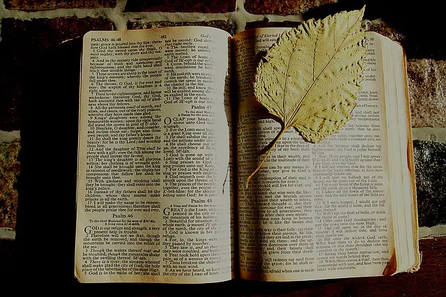 Bible opened to the book of Psalms