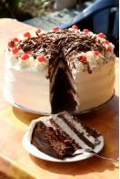 Chocolate layer cake, served on a plate